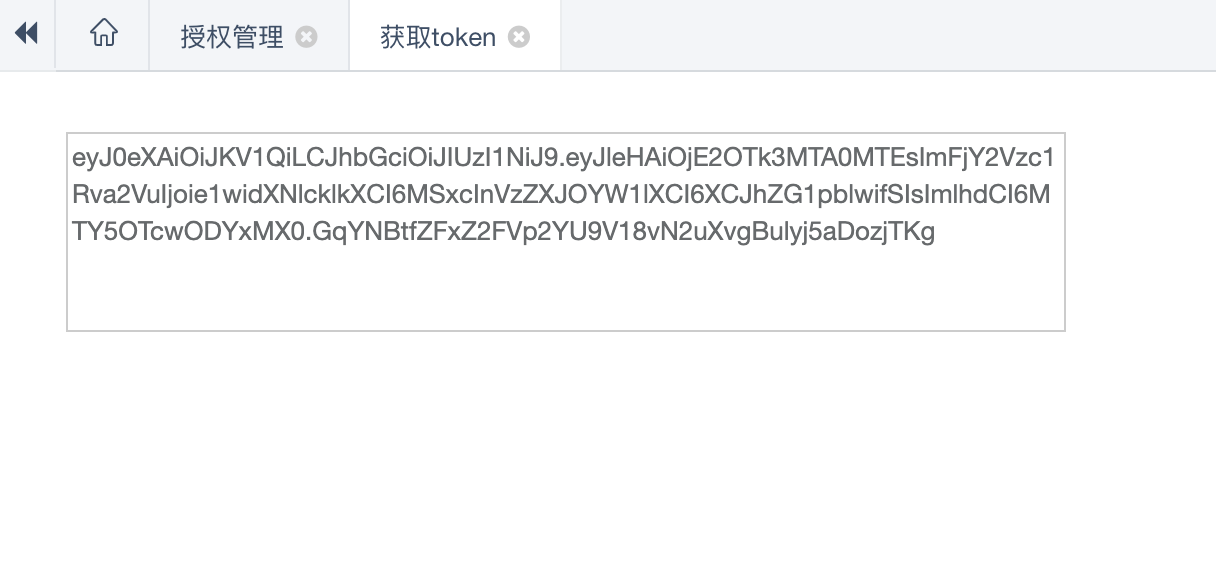 显示token